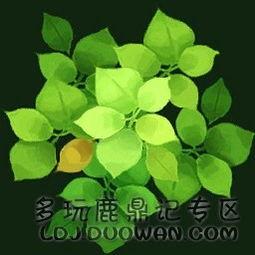 娱乐每日爆料素材网站,每日爆料大汇总，明星幕后故事全解析